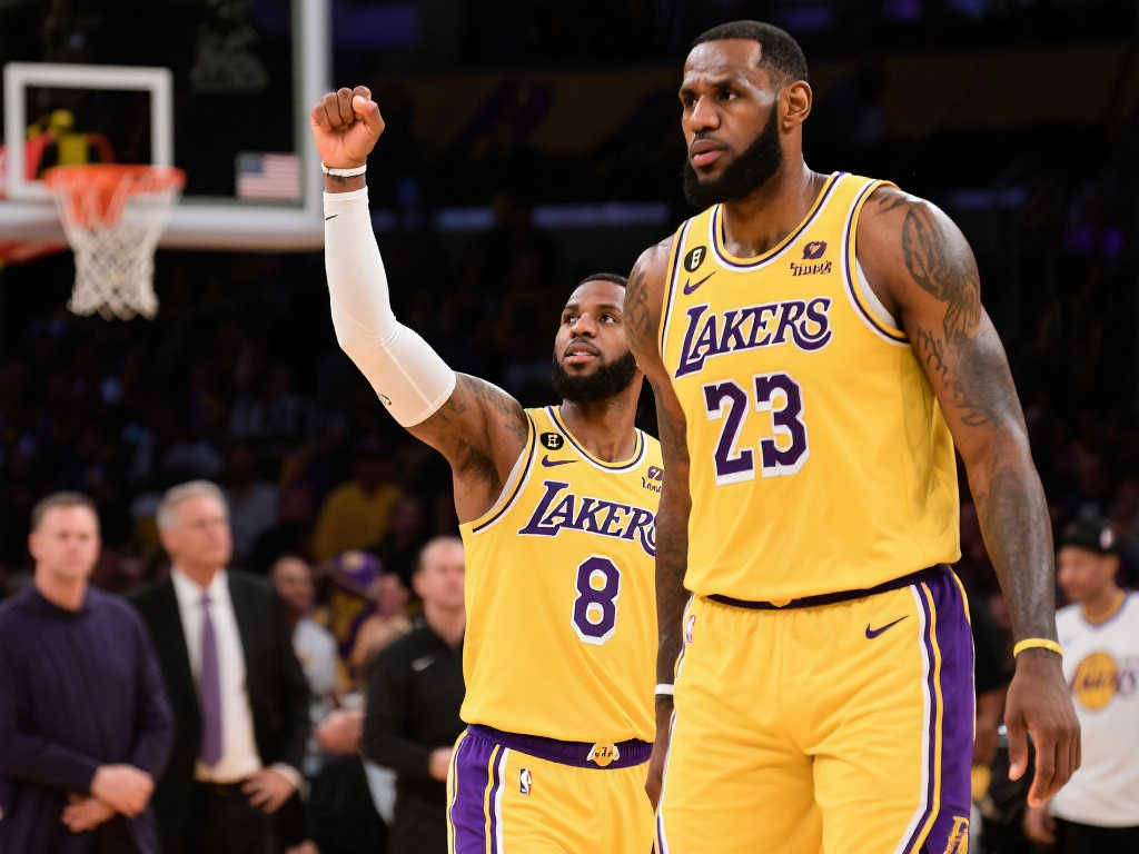 的多功能性 的多功能性